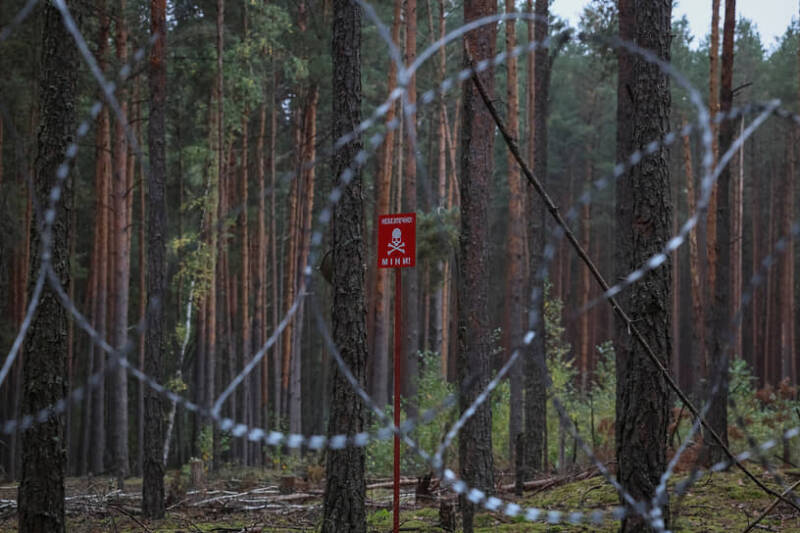 Зеленский и Туск договорились изучить возможность перехвата ракет над Украиной